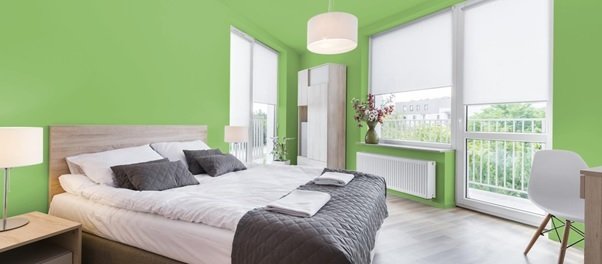 Lively Green Cerah dan Menyegarkan
