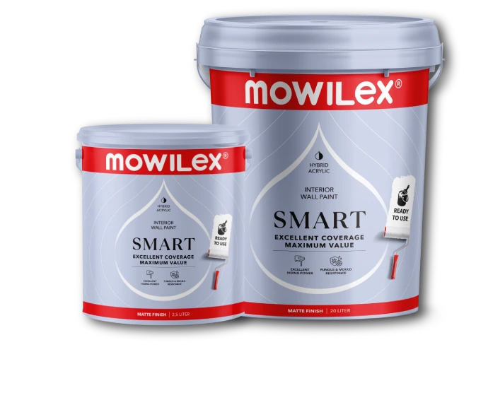 Mowilex Smart En