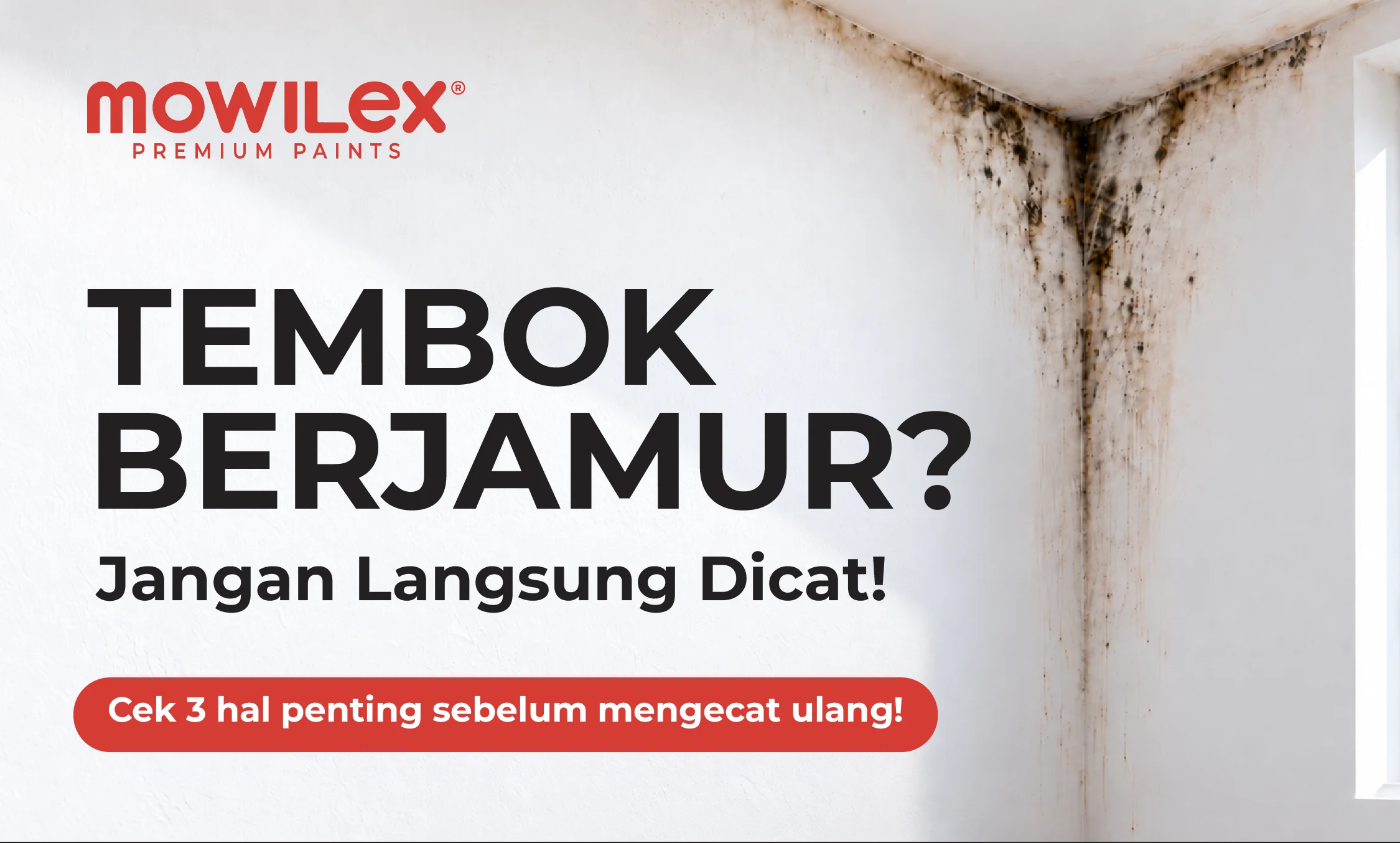 Home New