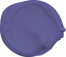 Mowilex Emulsion Satin