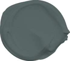 Mowilex Emulsion Satin