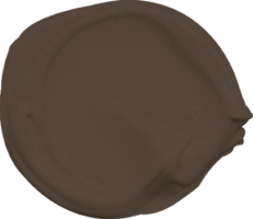 Mowilex Emulsion Satin