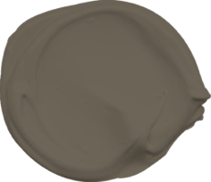 Mowilex Emulsion Satin