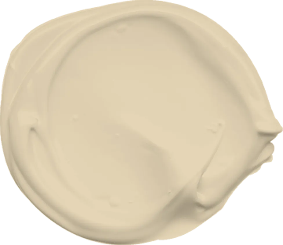 Mowilex Recycled Paint